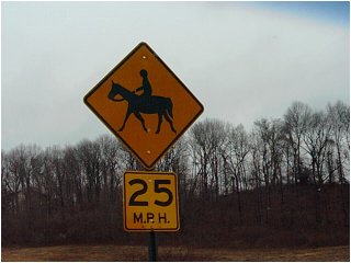 watch out for for them horses