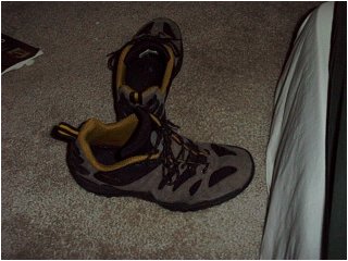 look at my scruffy shoes