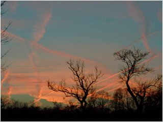 picture of sky kelly and i took after getting gas for her car