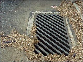 a stormdrain? how interesting!