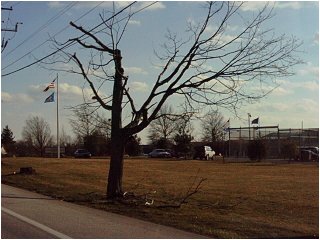 treeeeeeeeeeeeeeeeeeeeeeeeeeeeeeeeeeeeeeeeeee