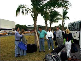 palm trees and jeans. people generally like both.